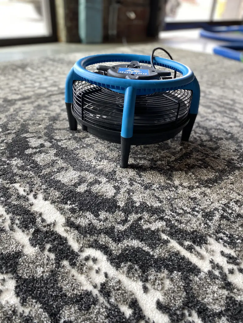 A drying fan on a freshly cleaned patterned rug