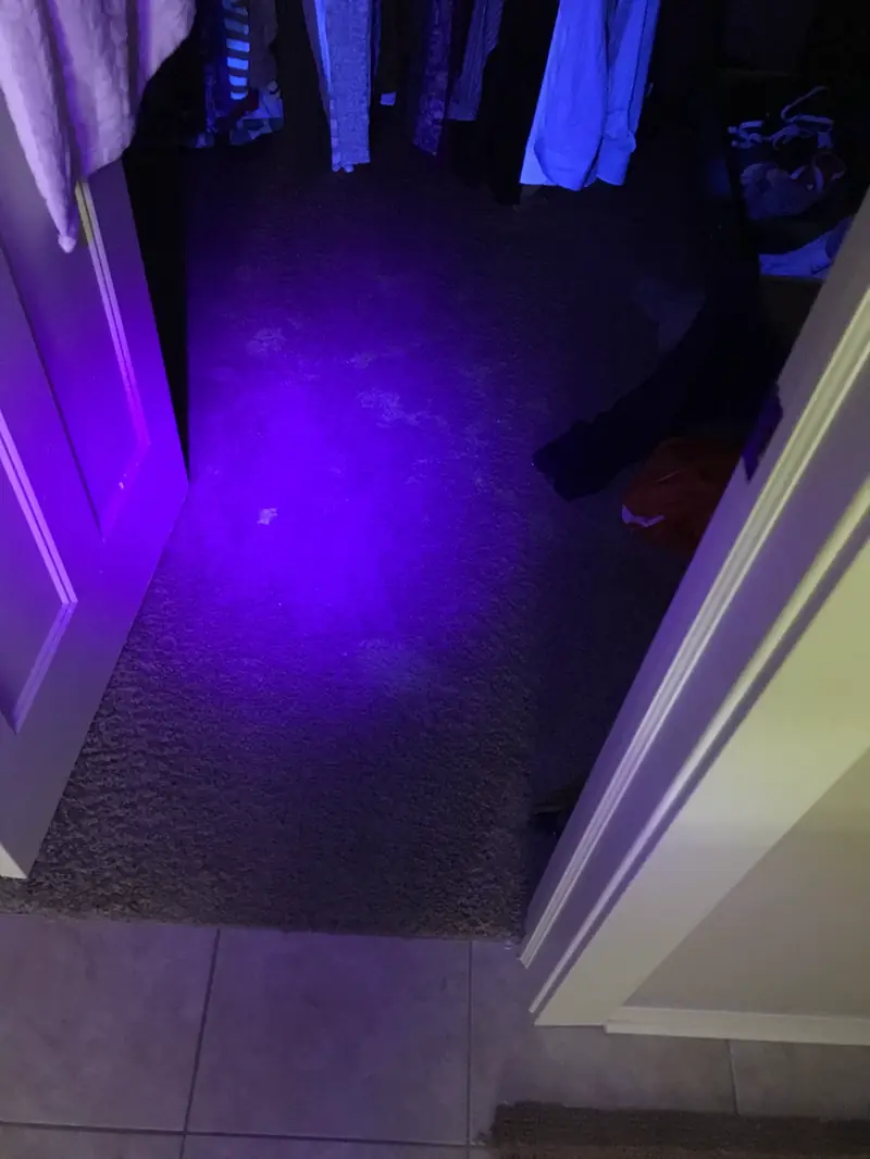 A violet black light glowing on the carpet at the back of a closet