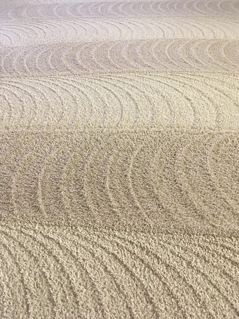 Curved wand marks across a freshly cleaned carpet