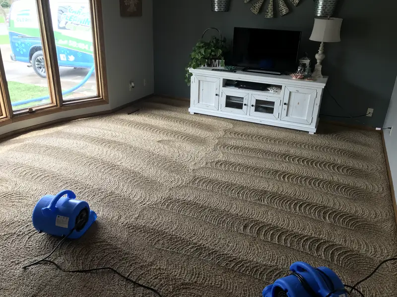 Blue drying fans on a freshly cleaned living room carpet