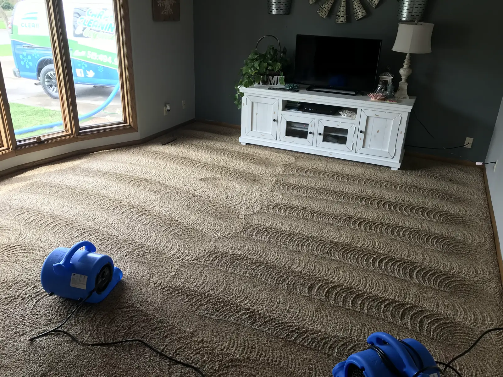 Blue drying fans on a freshly cleaned living room carpet