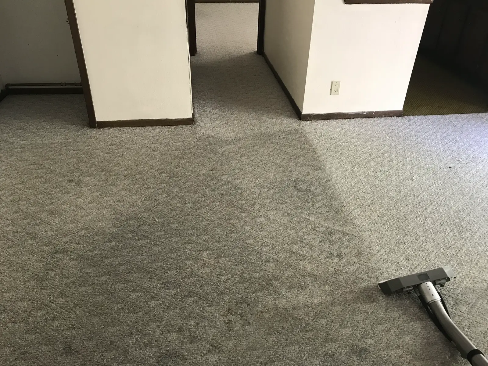 An office carpet half cleaned, the wand resting at the edge of the clean area