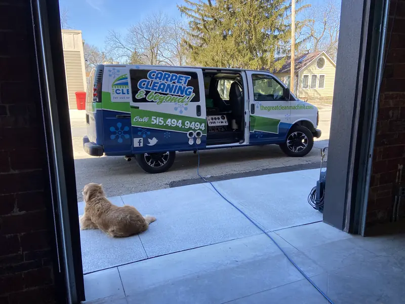 Summer lying in the open shop door, looking out at the van on Main Street