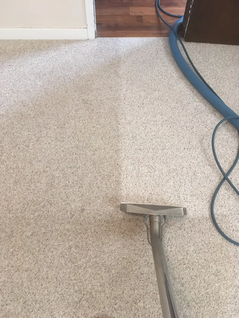 A cleaning wand on a beige carpet, one pass cleaner than the rest